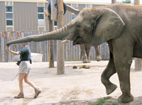funnycaption-200x148